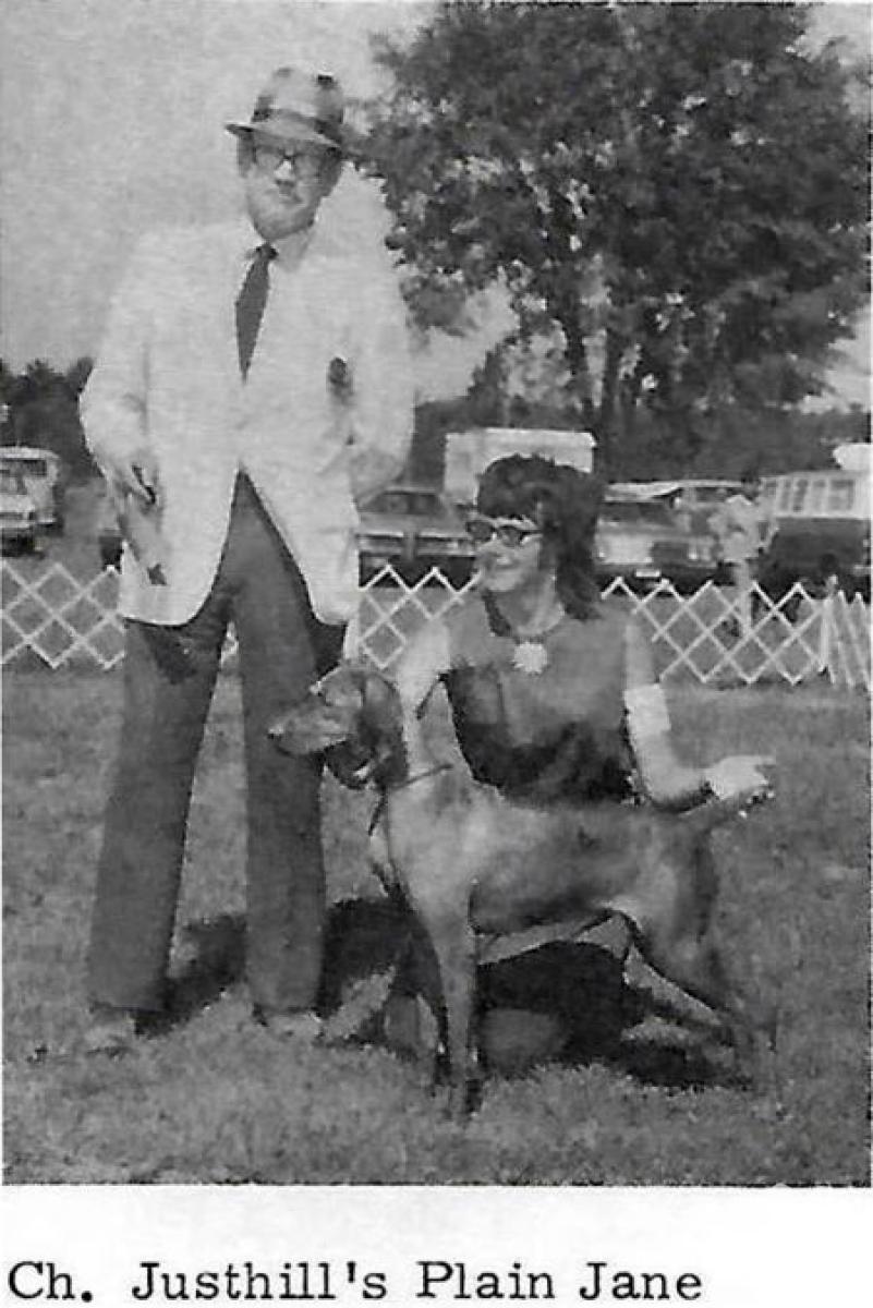 Justhill's Plain Jane