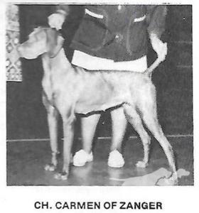 Carmen of Zanger
