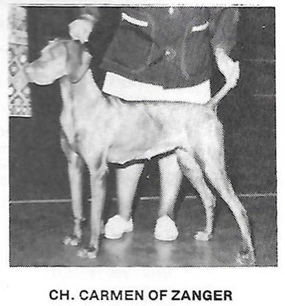 Carmen of Zanger