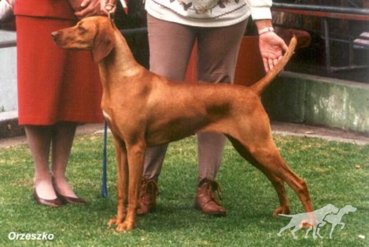 Erdos Belle Matilda