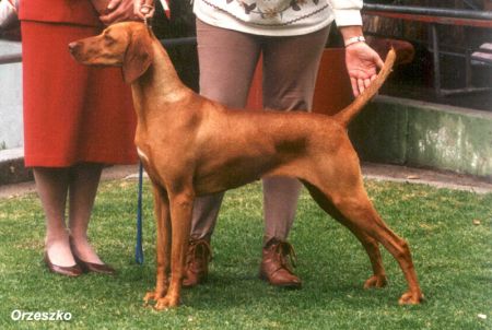 Erdos Belle Matilda