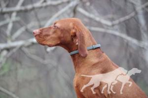 Utazó Becses