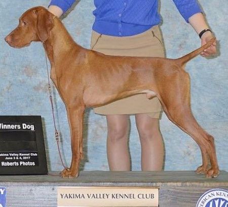 Walter's Riverbend Maverick