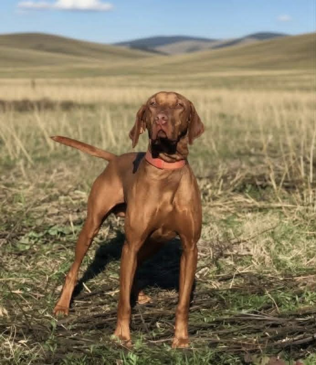 Radar Outdoor Hero