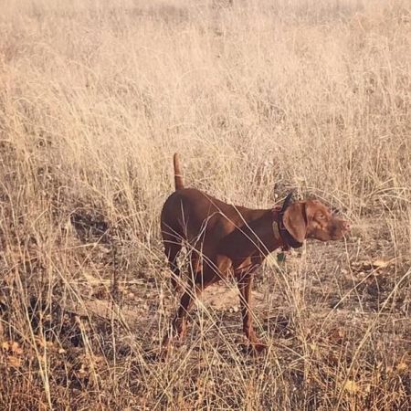Boulder's N Solterra's Born To Run At First Light