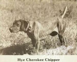 Hye Cherokee Chipper