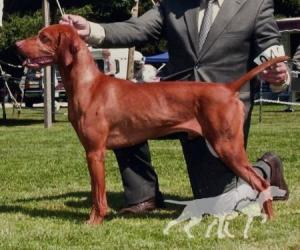 Hubertus Quality Control