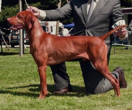 Hubertus Quality Control