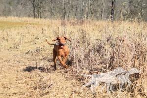 Compass' Miles of Fun N Sun