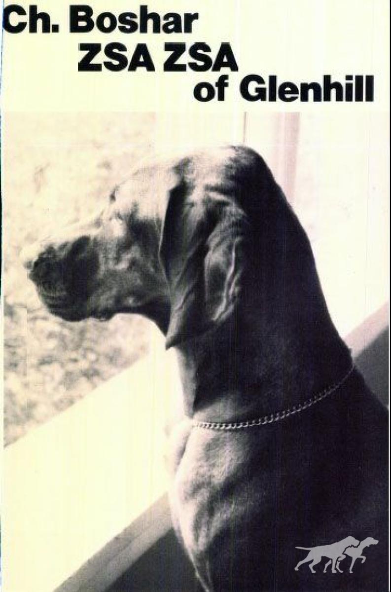 Boshar Zsa Zsa Of Glenhill