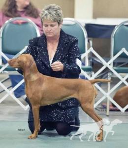 Kyllburg's Beyond A Reasonable Doubt