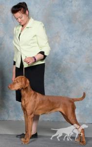 Vizslavilla Prize Pure Goddess