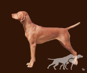 Vizslavilla Prize Pure Goddess