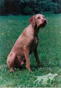 Greenwire Baxter Of Herlinga