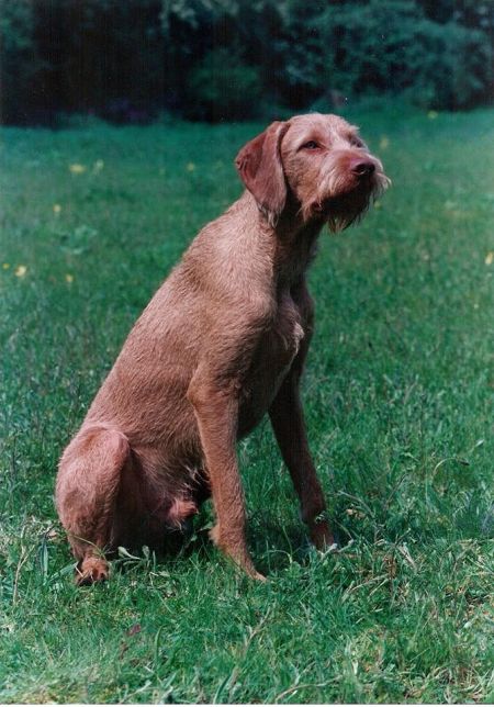 Greenwire Baxter Of Herlinga