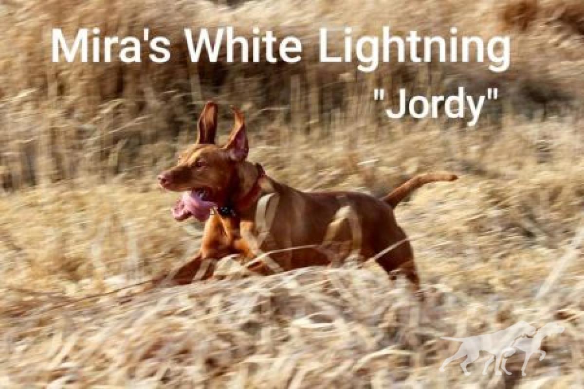 Mira's White Lightning