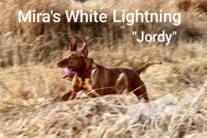 Mira's White Lightning