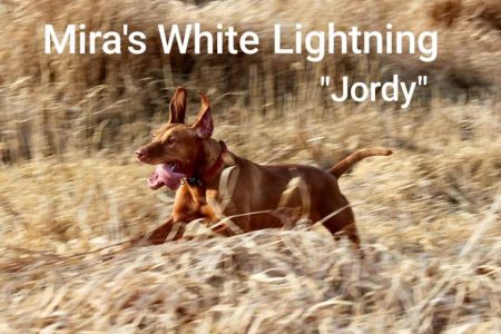 Mira's White Lightning