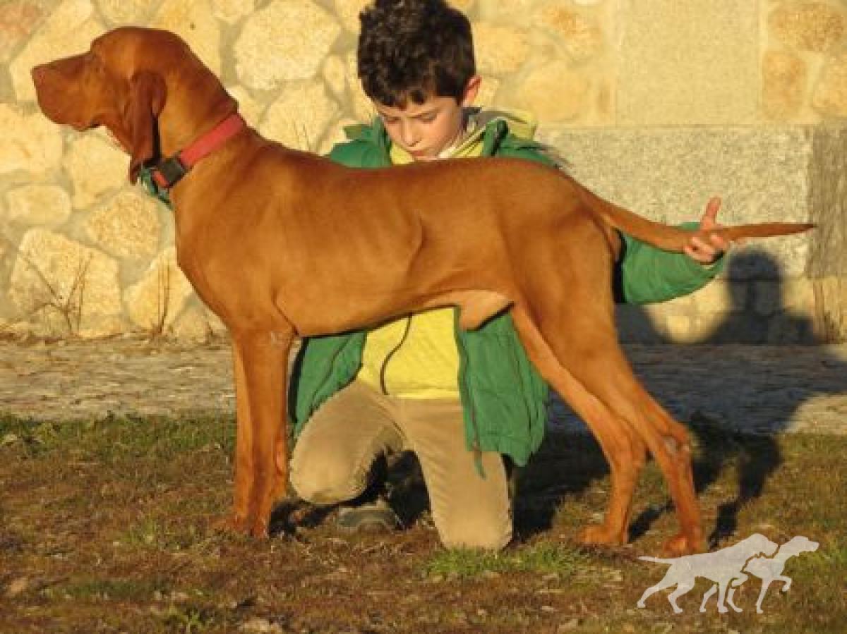 Caligula de La Serrota