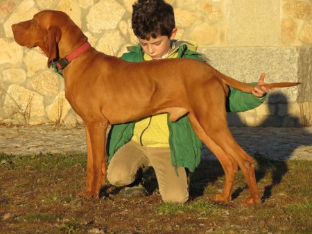 Caligula de La Serrota