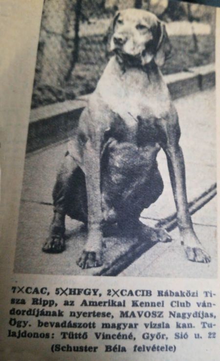 Rábaközi Tisza Ripp