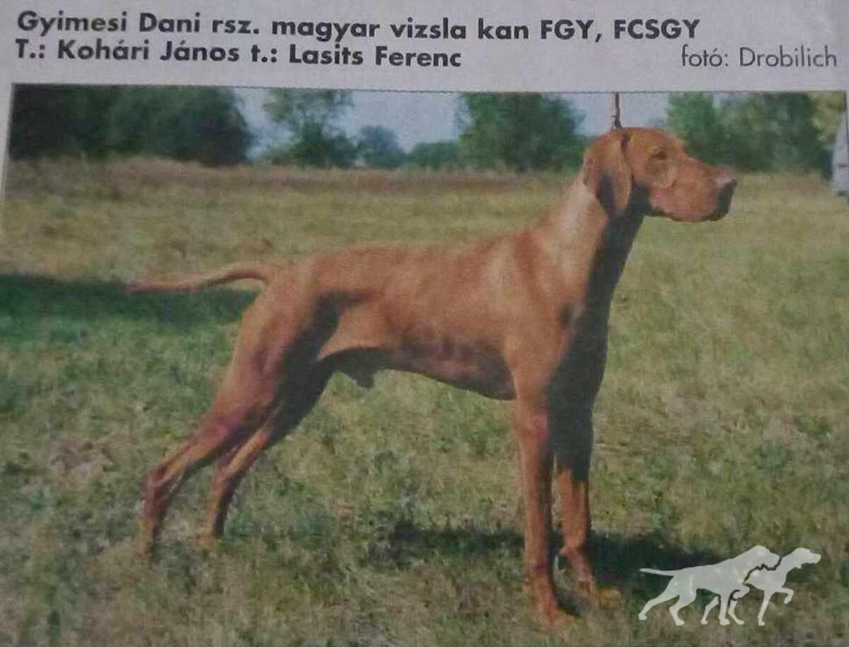 Gyimesi Dani (MET MV 4267/96)