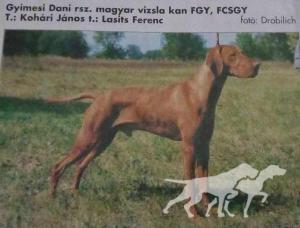 Gyimesi Dani (MET MV 4267/96)