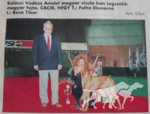 Kalaszi Vadasz Amstel