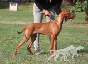 Catch Tim If You Can Coco Lotte