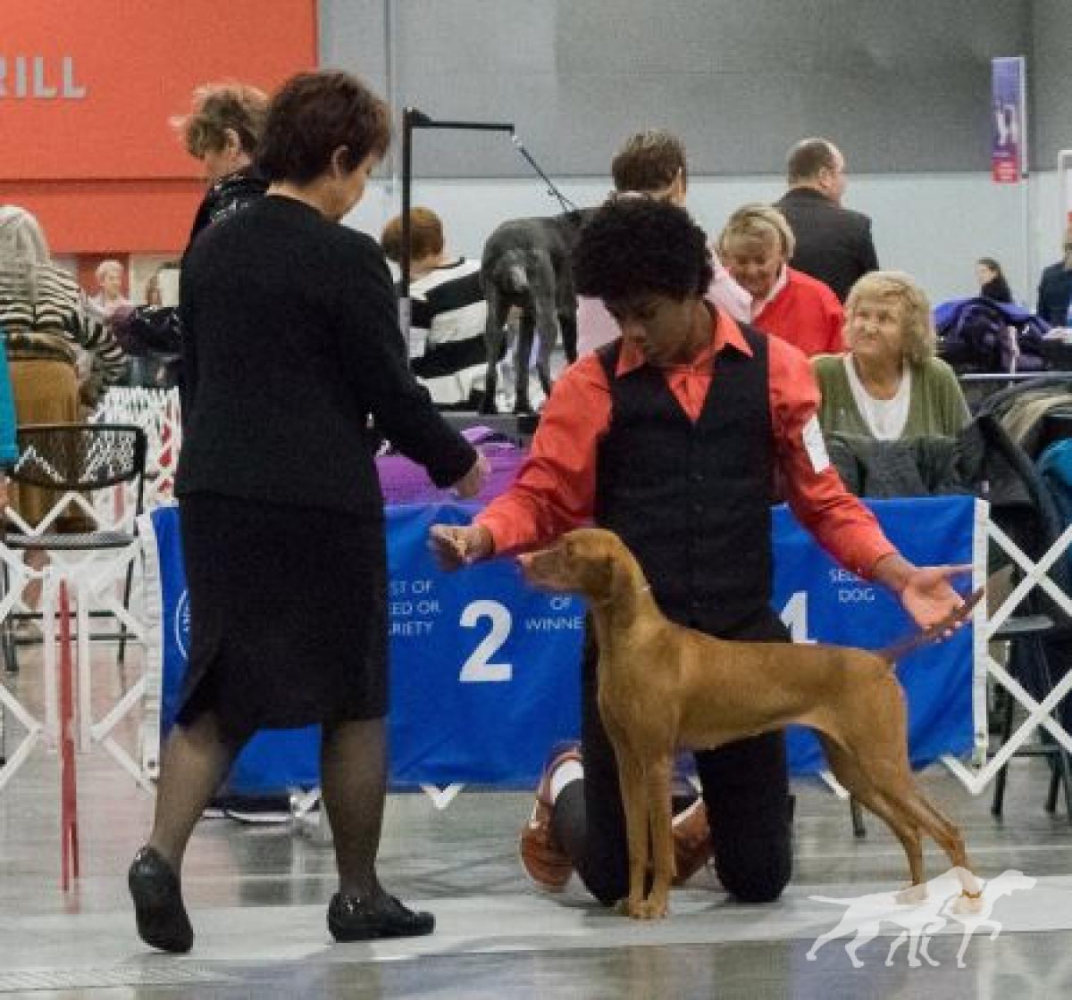 Dunantul-N-Tierah's Marley and Me