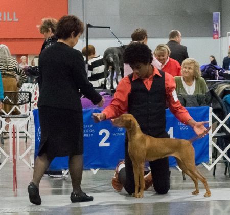 Dunantul-N-Tierah's Marley and Me