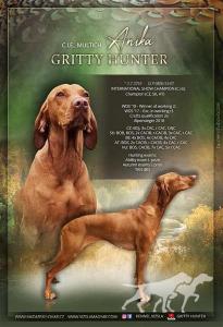 Anika Gritty Hunter
