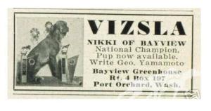 Nikki of Bayview