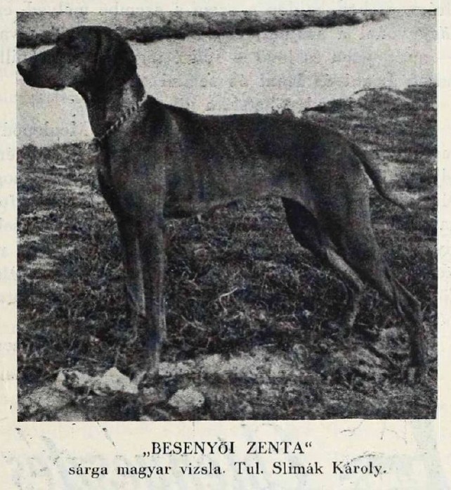 Besenyoi Zenta