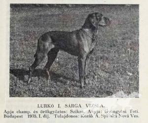 Lurko