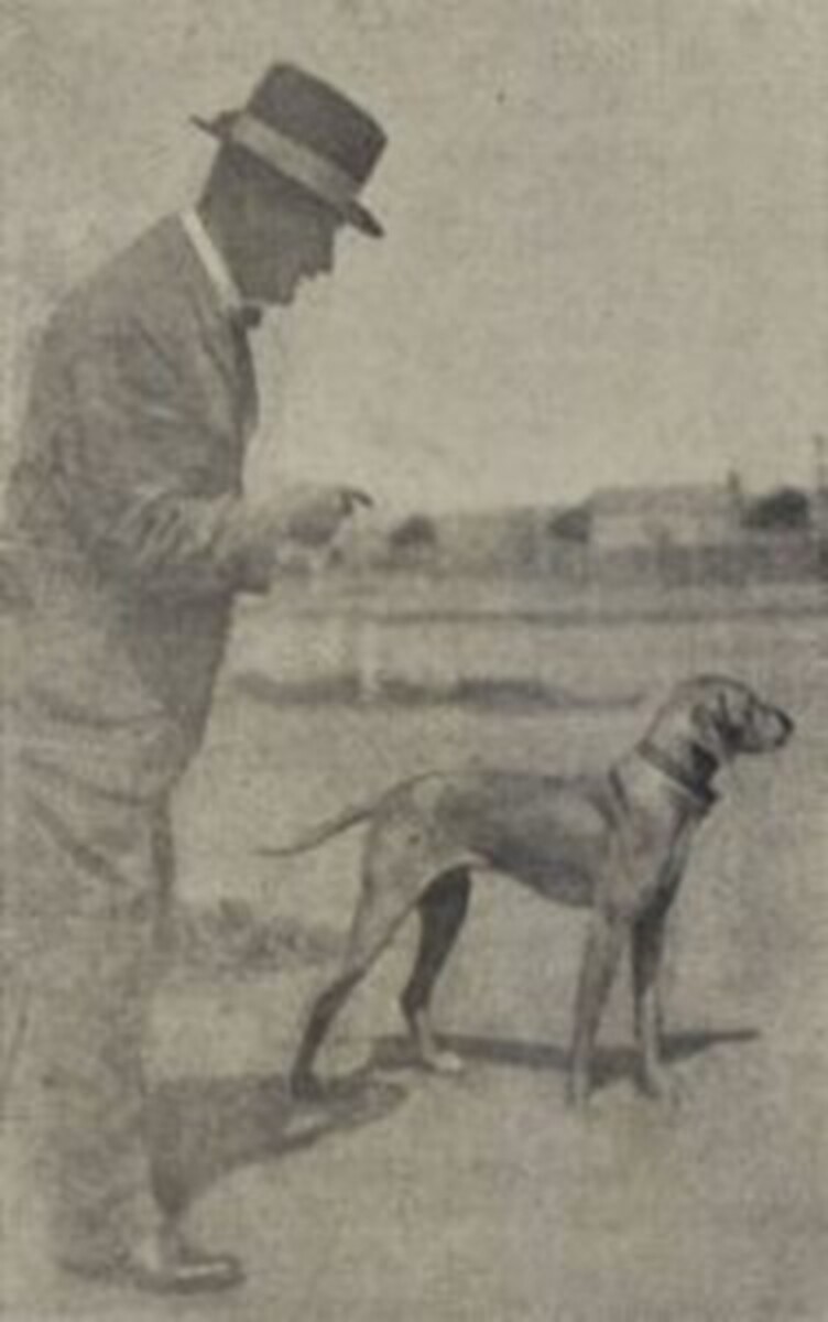 Ripp II