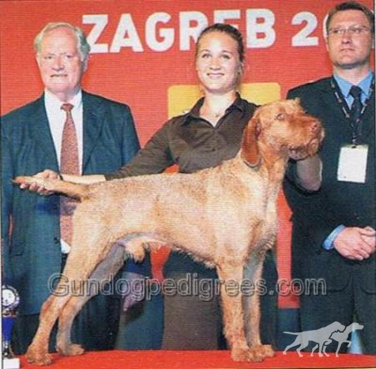 Zöldmáli Iram