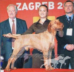 Zöldmáli Iram