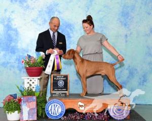 Autumn Acres Apothic Affair