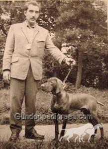 Nádorvárosi Roy