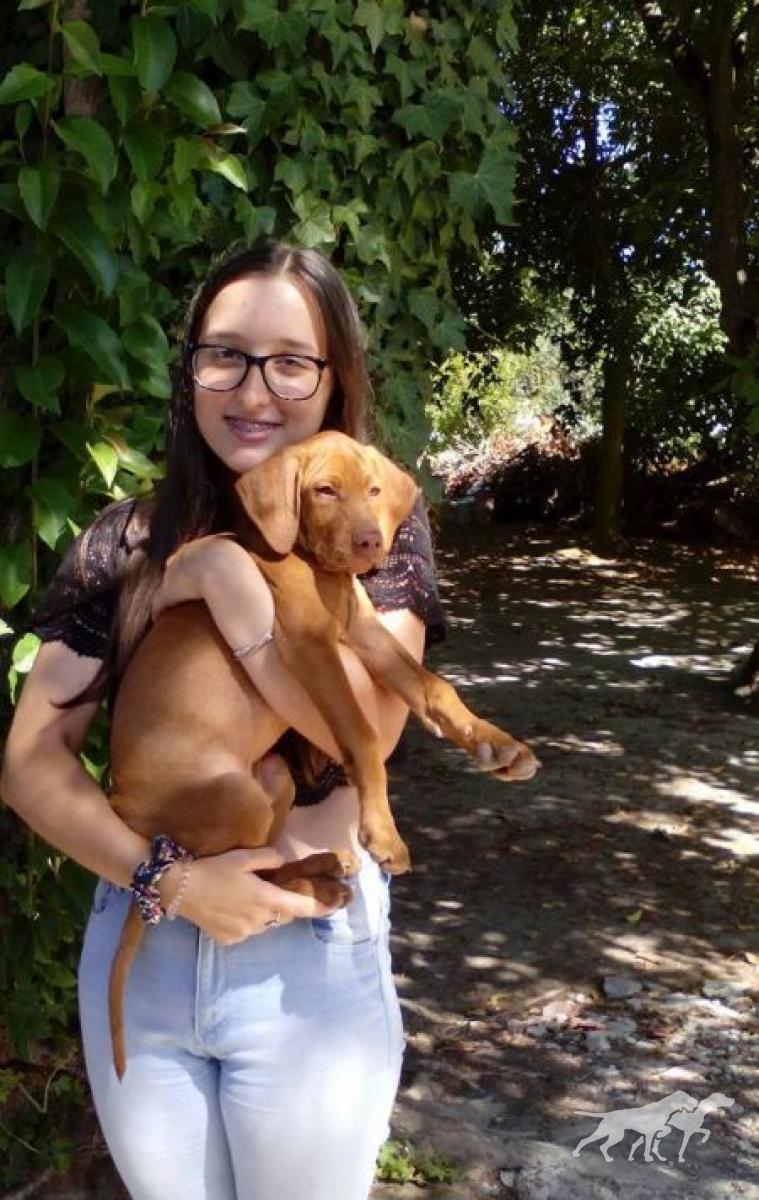 Astro da Quinta das Gias