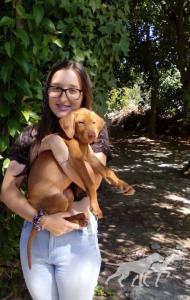 Astro da Quinta das Gias