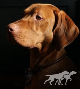 Archibald Bellesa del Sol