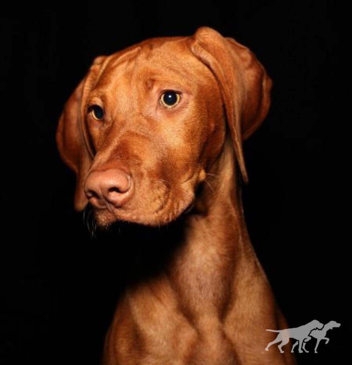 Gus' Miss Ellie Texas Red