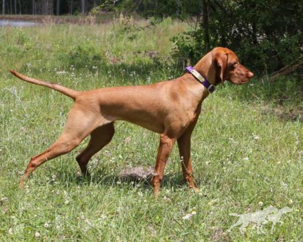 Valley Hunter This Girl Is On Fire