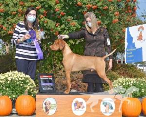 Tierah Doncha Love This American Ride