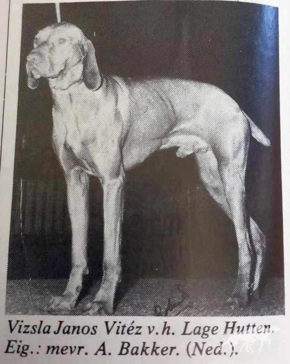 János-Vitéz van 't Lage Hutten