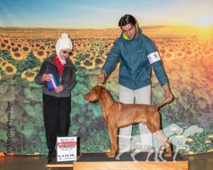 Paradox Hunters Meadow Blaze N Star