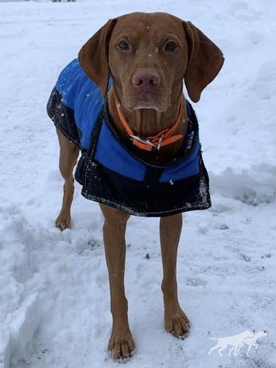 Sokoldalu's Total Teammate Shotgun Willie O'Tierah