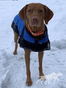 Sokoldalu's Total Teammate Shotgun Willie O'Tierah